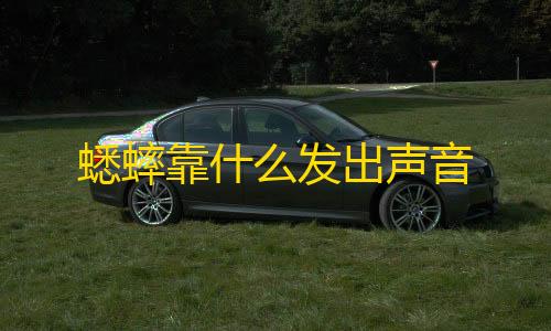 暗区突围pc租号蟋蟀靠什么发出声音